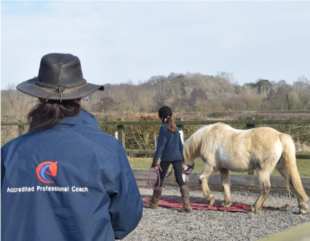 Valley Farm Equestrian Leisure