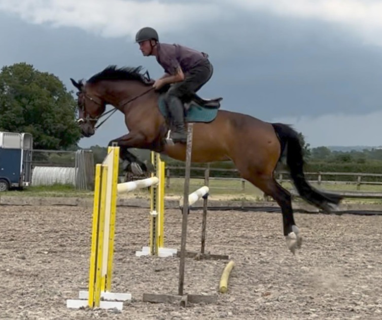 JLH Showjumping