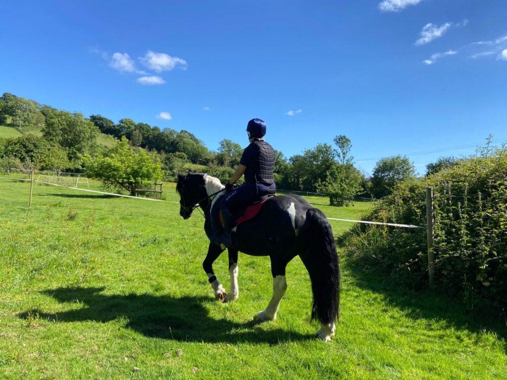 ZB Equestrian Services