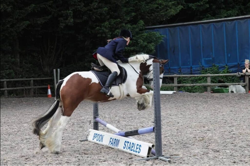 Brook Farm Stables