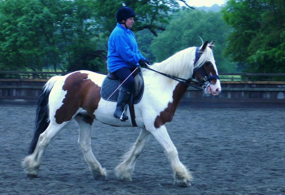 Caldecote Riding School