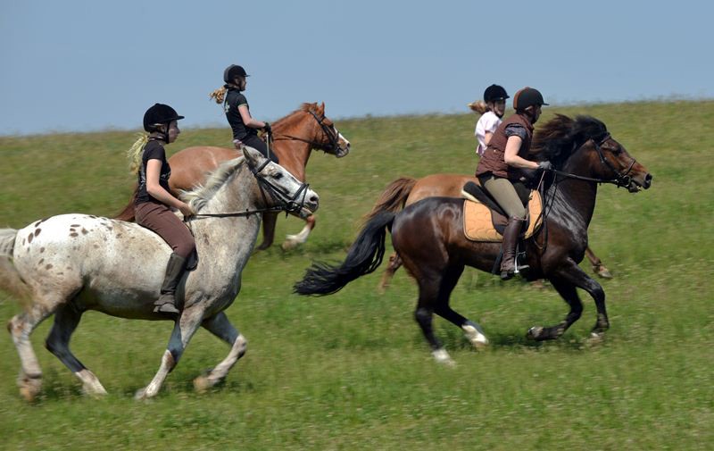 4 Gaits Riding School