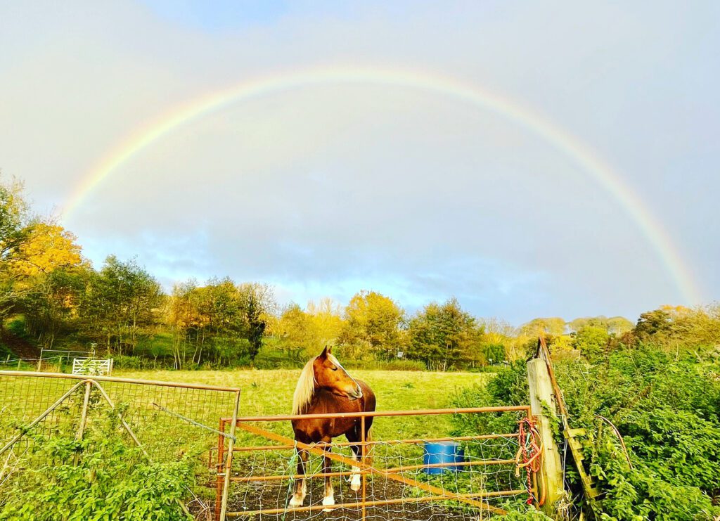 Casebourne Farm