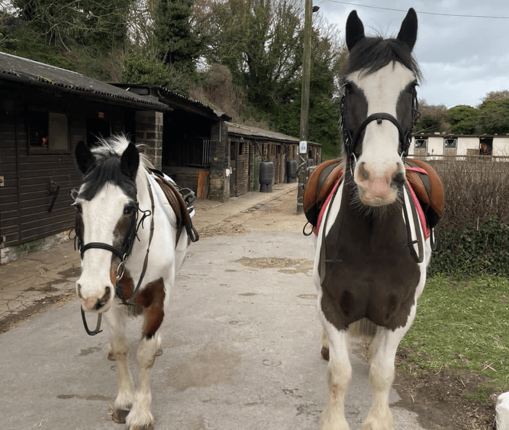 Manston Riding Centre