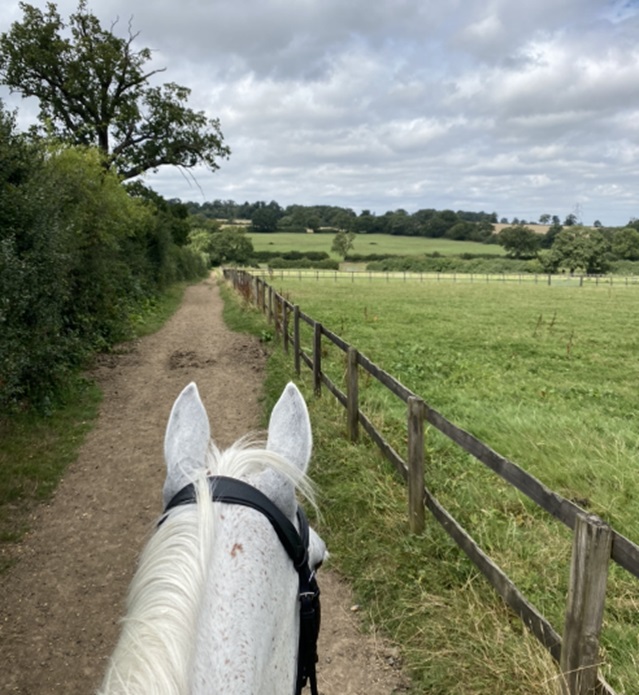 Strangeways Stud Farm