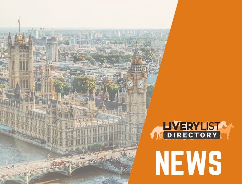 Redwings Issue Statement on UK Fireworks Debate