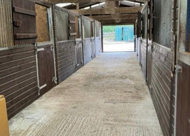 New Springs Equestrian