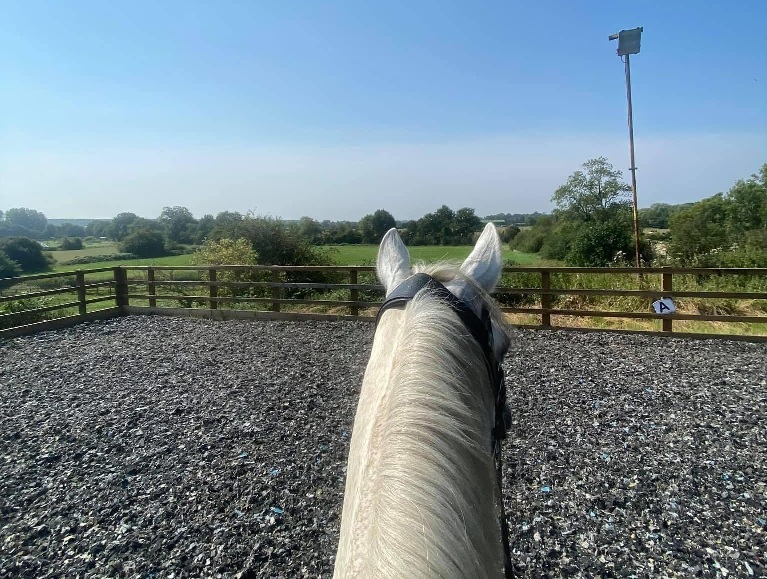 Bubbenhall Bridge Equestrian Centre Livery