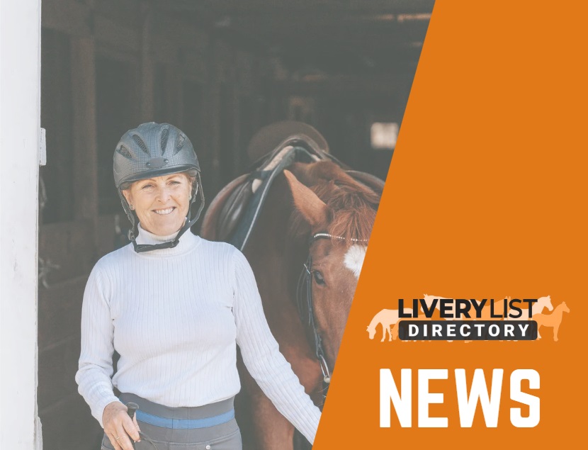 Redwings Highlights the Importance of Protective Headwear