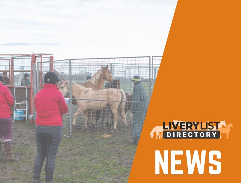 WHW Help for Horse Owners Service Offers Preventative Solution for Growing Problem