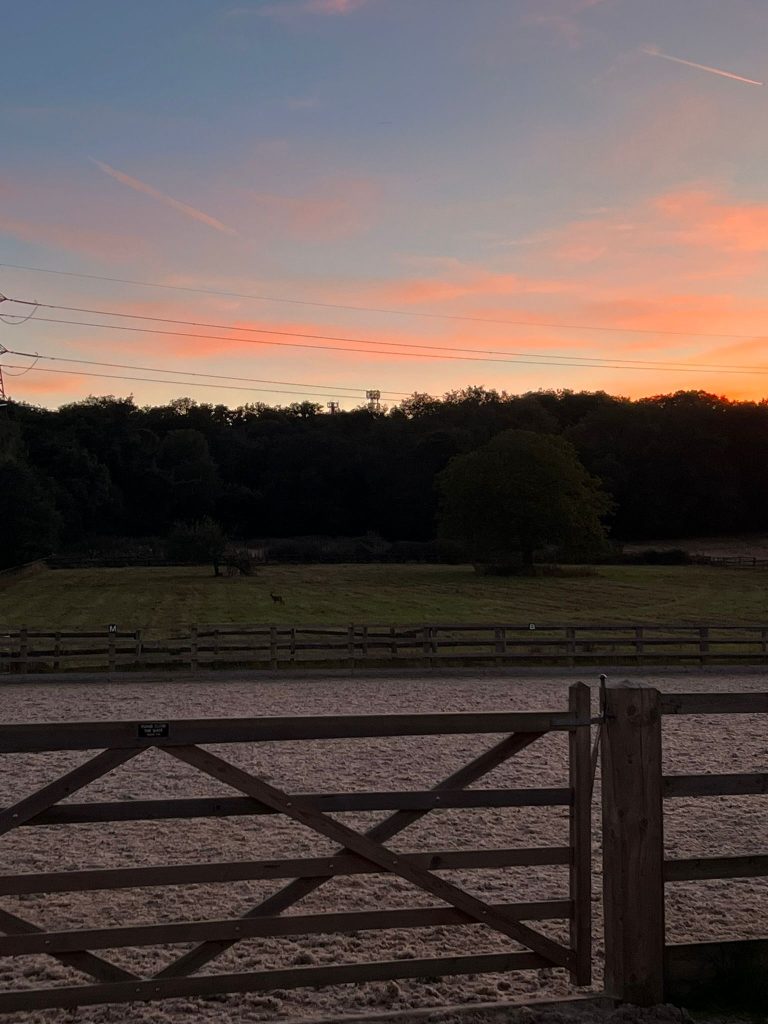 Low Meadow Farm Stables
