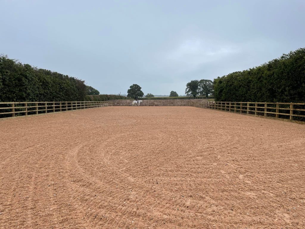Rocking Horse Farm