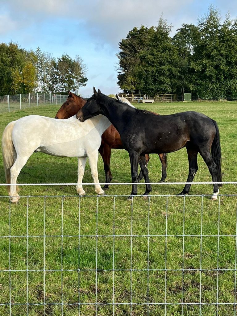 By Brinkworth Ltd: Lower Mount Farm EC