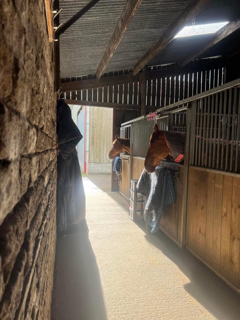 Fountains Equestrian