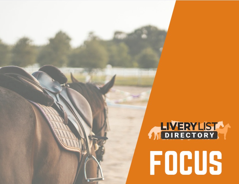 Best Cities for Horseback Riding Careers: Job Opportunities, Wages, and Training