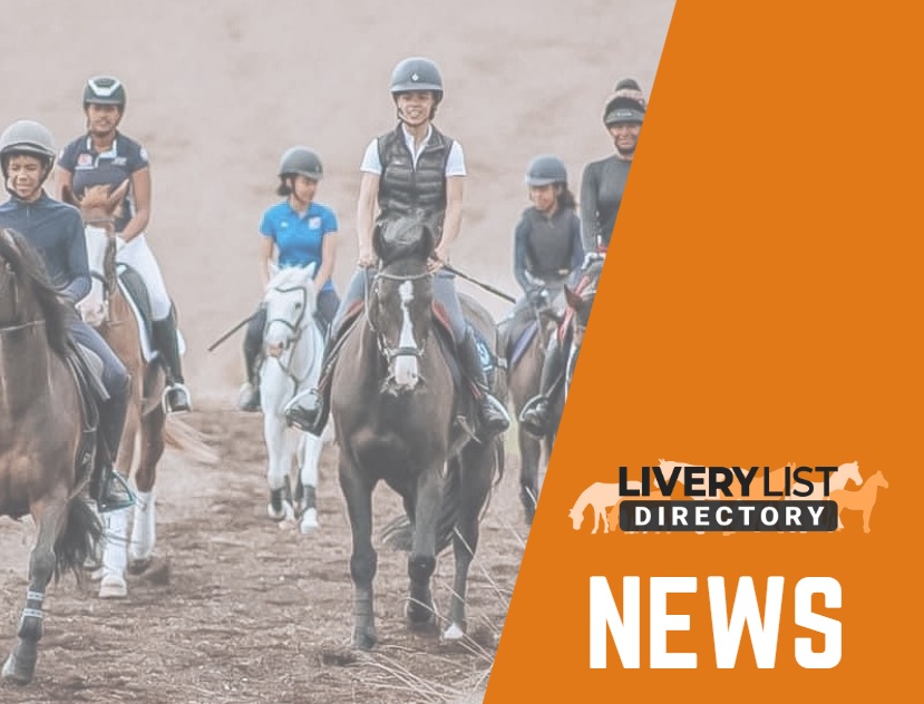 British Equestrian Reports on Progress of Horses For All Strategy