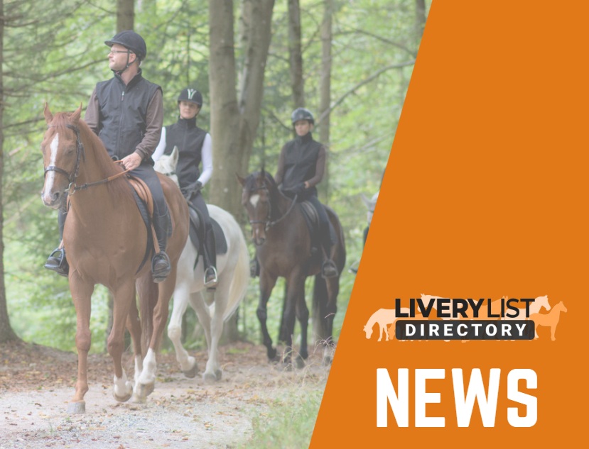 Report Reveals More Needs to be Done for Road Rider Safety