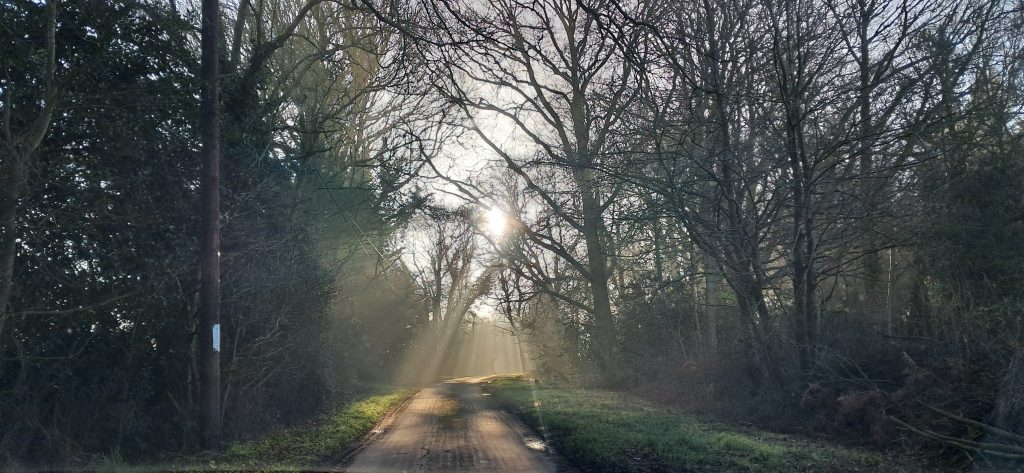 Puddephats Livery Stables