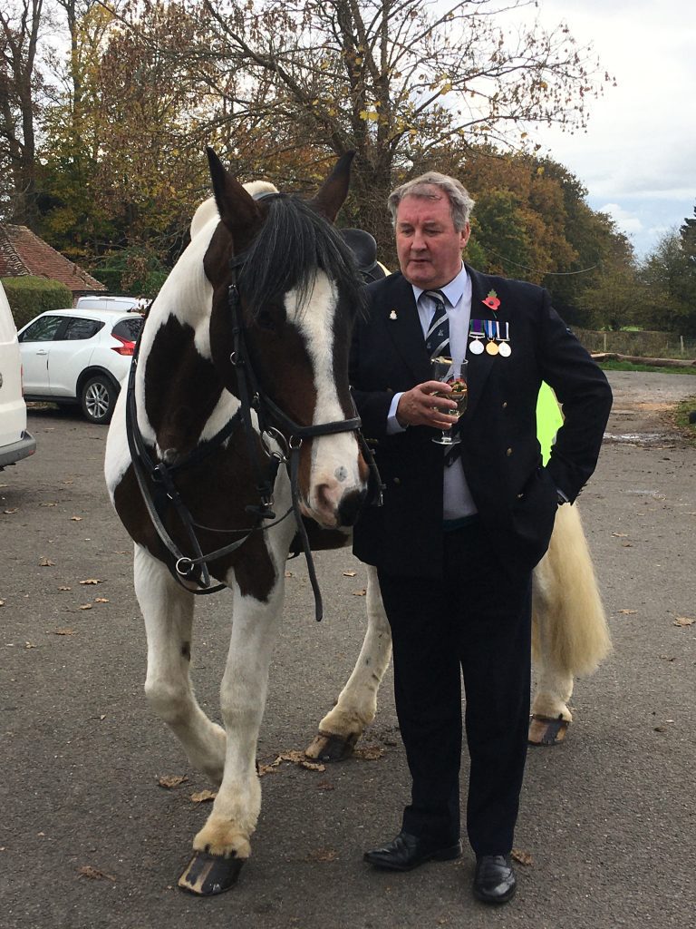 Ashdown Forest Gelding Livery