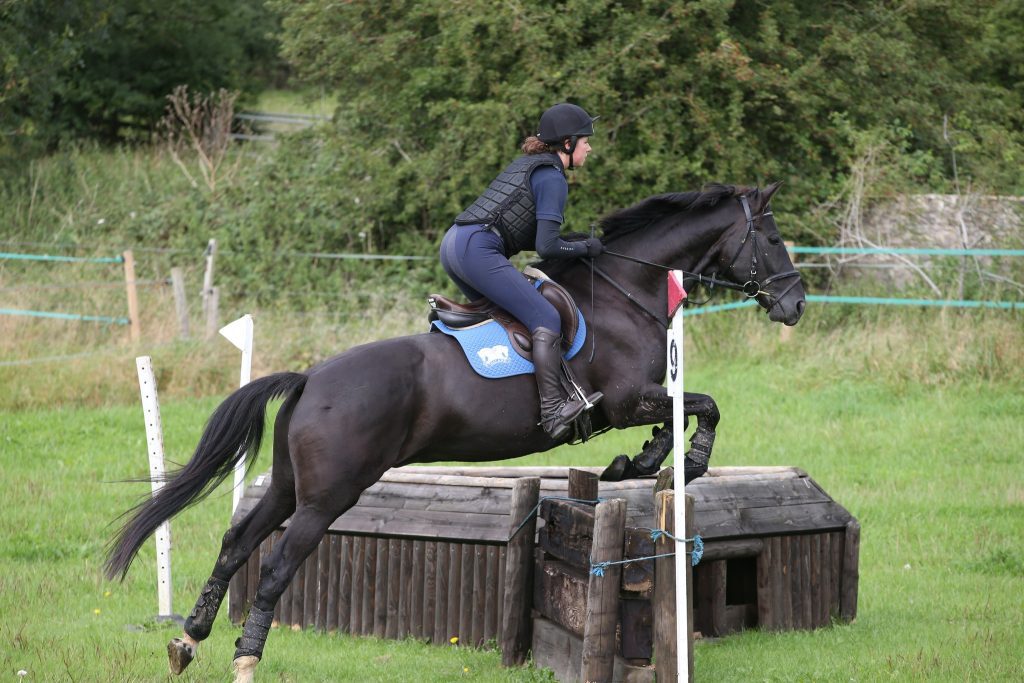 The Talland School Of Equitation