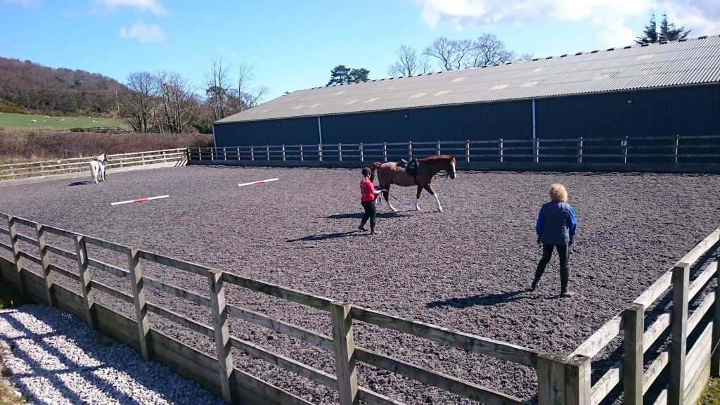 Aberconwy Equestrian