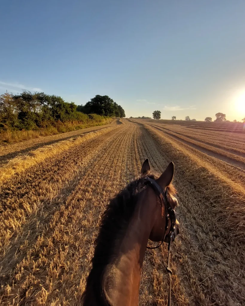 Tong Park Farm Livery Yard