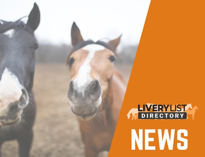 British Equestrian Releases New Five-Year Horse-Centric Strategy