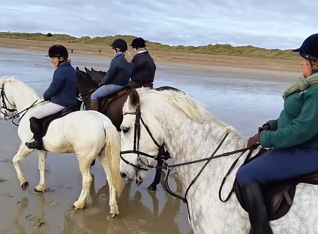 Forest Farm Teaching and Livery