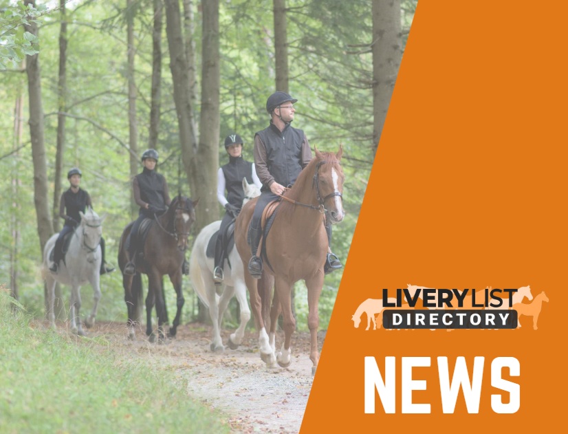 Forestry England Opens Up Hacking Access to All