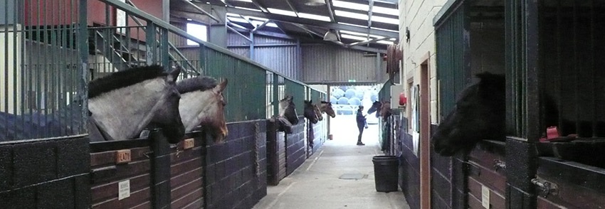 Seagold Centurion EC