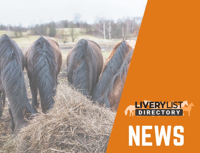 RSPCA Publishes 2025 Equine Welfare Crisis Report