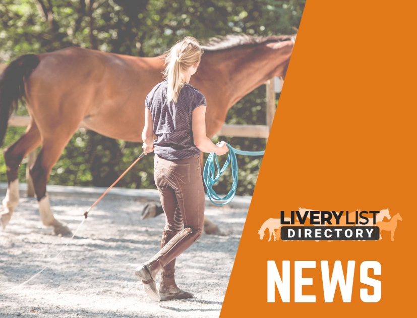 Employment Contracts Still Lacking in the Equestrian Industry