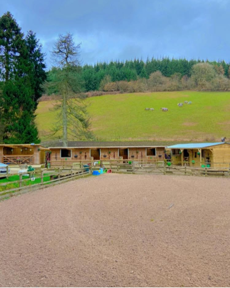 Darky Dale Forest Stables