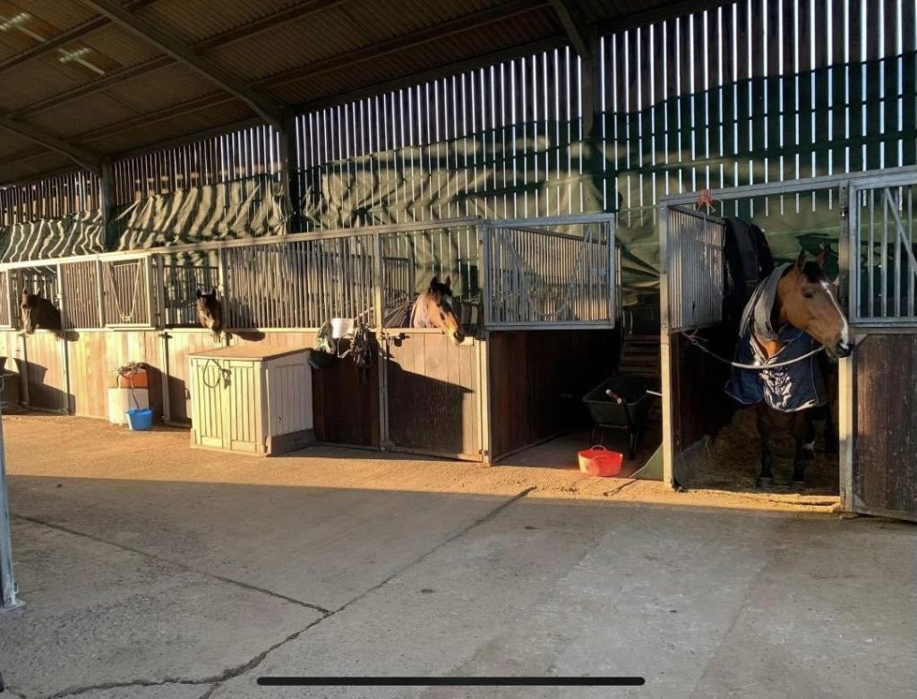 Bologney Stables and Livery