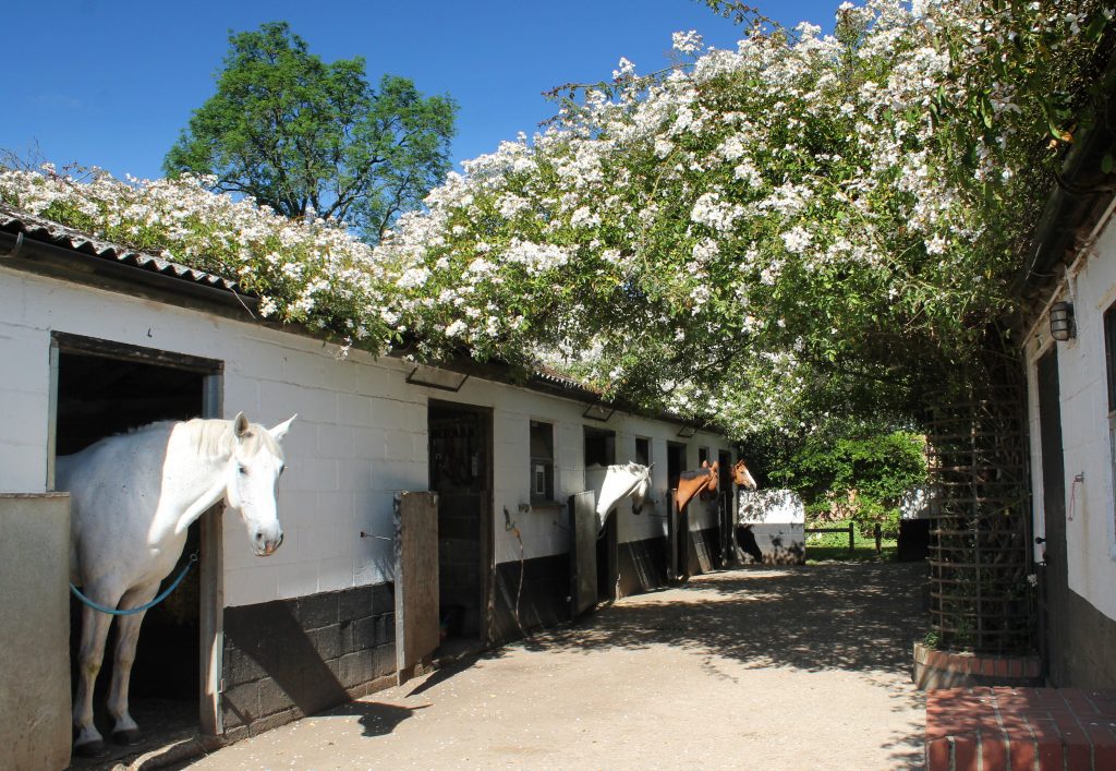 Checkendon Equestrian Centre