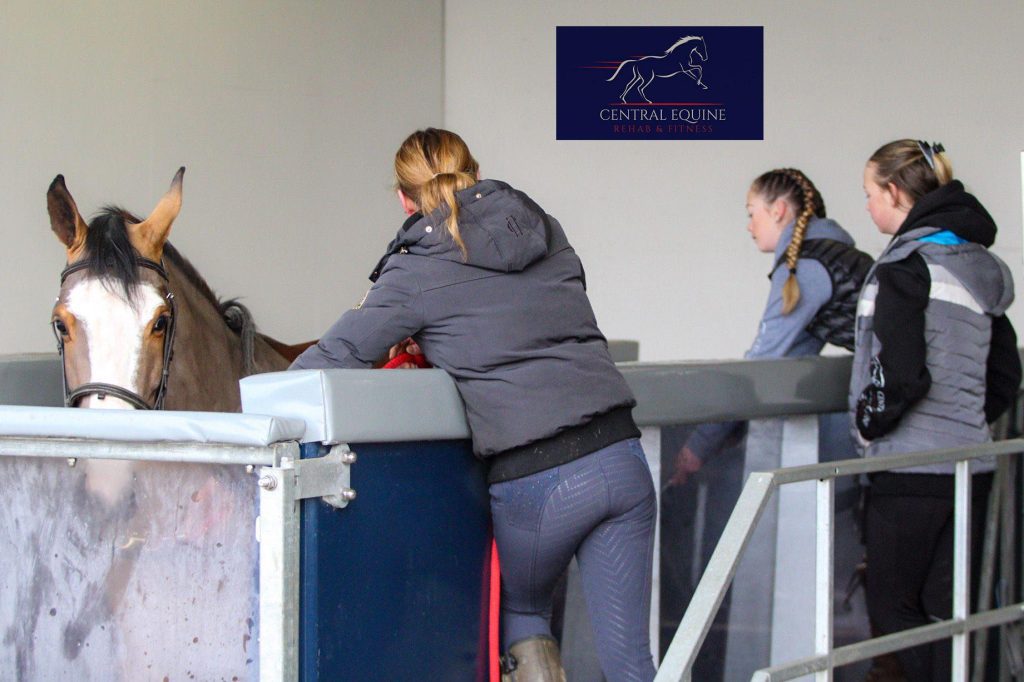 Central Equine Rehab & Fitness