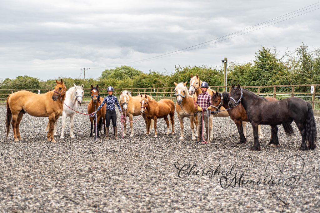 Stickney Riding Centre