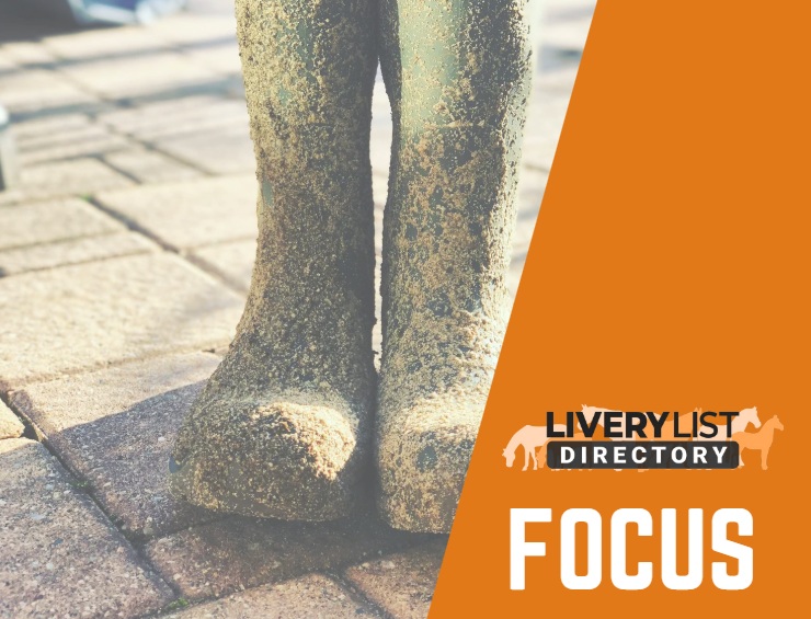 Must Have Biosecurity Equipment and Procedures for Livery Yards