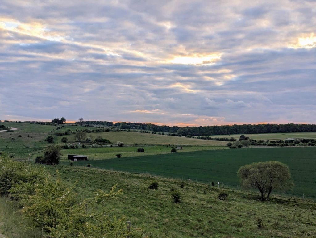 Retirement Livery – Wiltshire