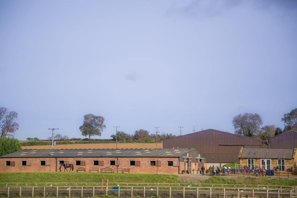 Brampton Stables LLP
