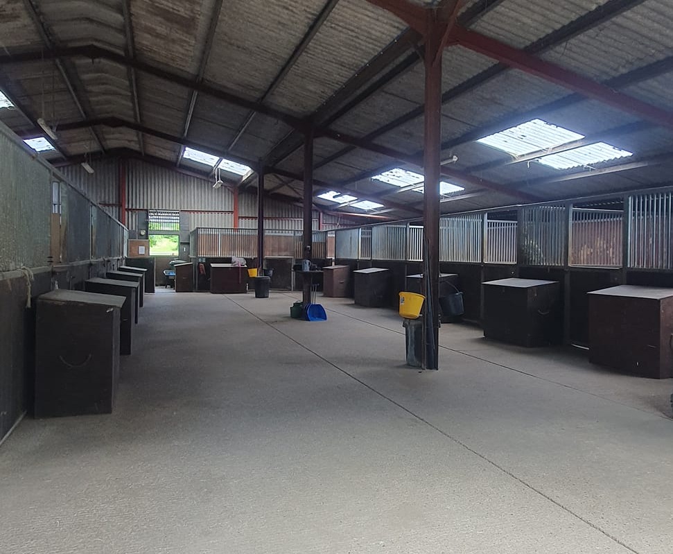 Fink (BSc) Equestrian