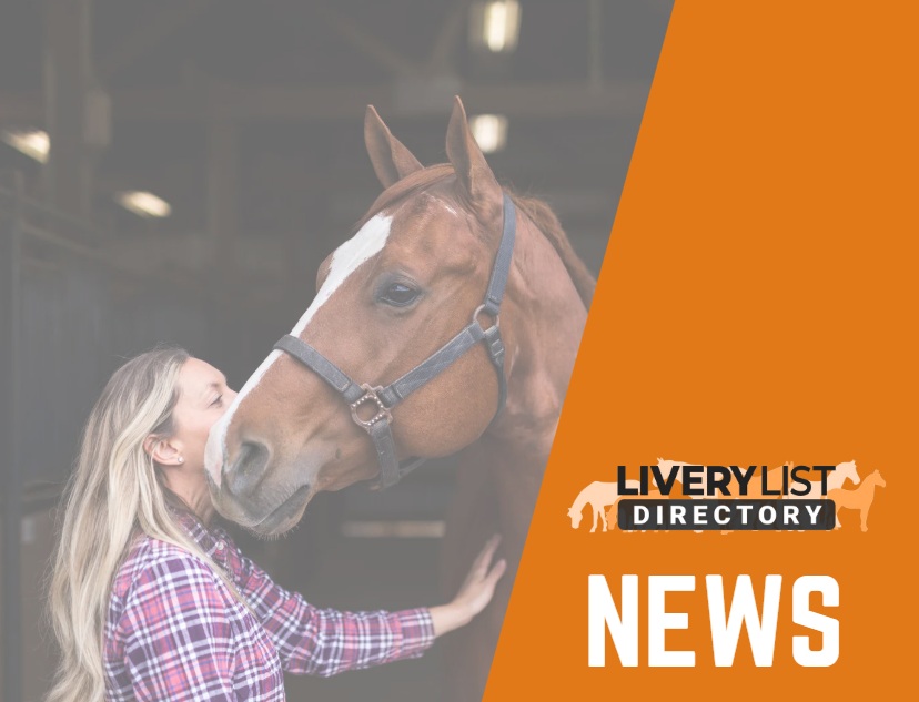 British Equestrian Helping to Future Proof Equestrian Businesses