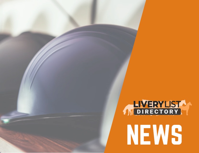 Vet Group Introduces Mandatory PPE for Equine Vets