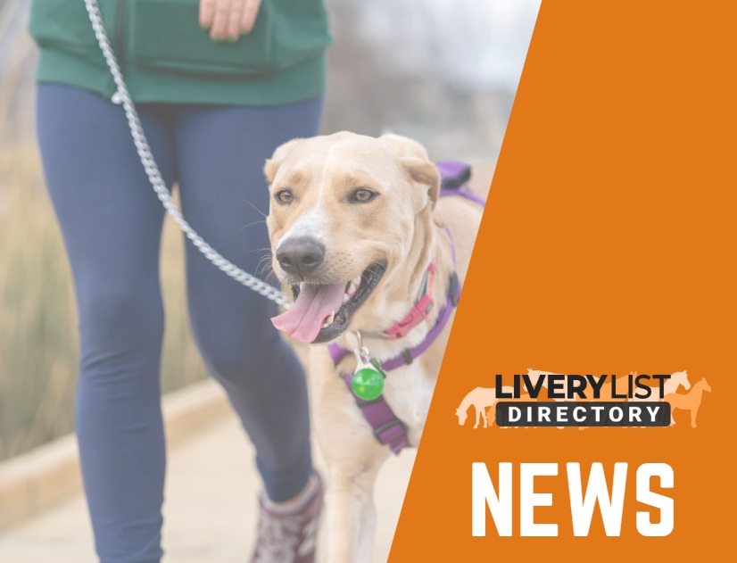 Landmark Case Against Negligent Dog Walker