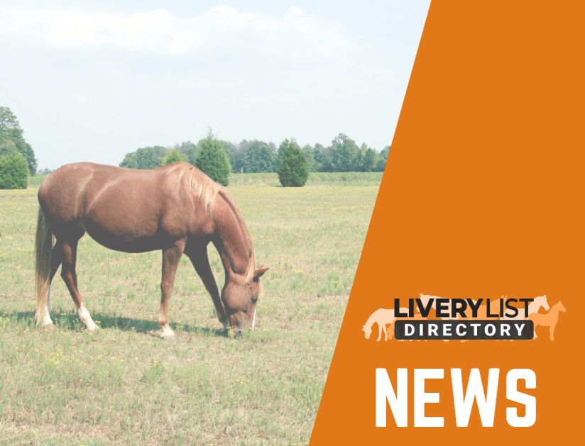 New Study Sheds Light on Grazing Strategies to Combat Equine Obesity