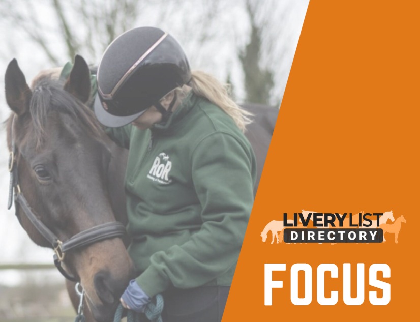 Supporting Former Racehorses: RoR Facts for Livery Yard Owners