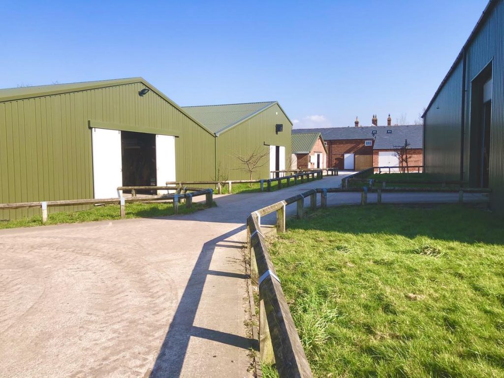 The Livery at Springbank Farm