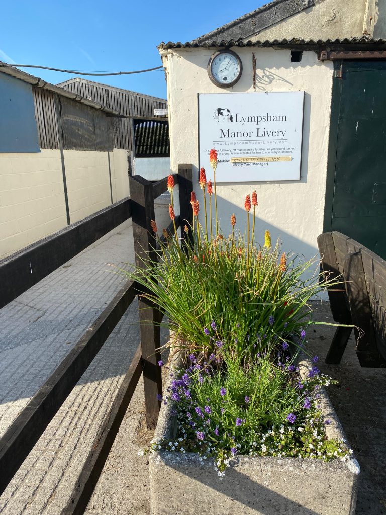 Lympsham Manor Livery