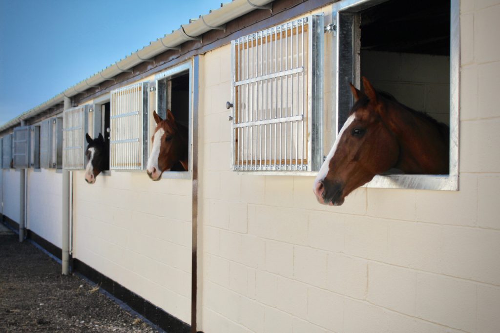 Thistledo Equine Retreat