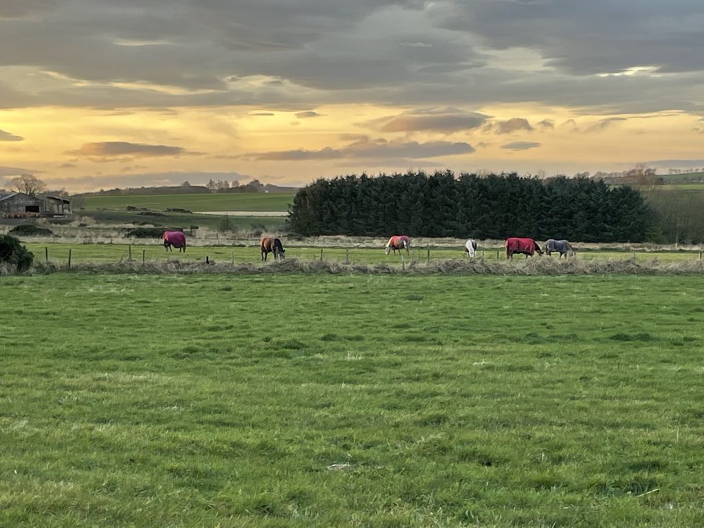 Green Havens Livery Centre